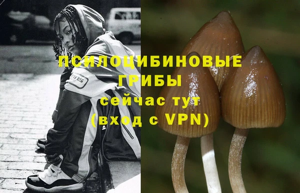 MESCALINE Верея
