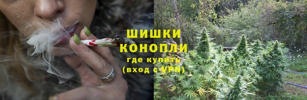 MESCALINE Верея