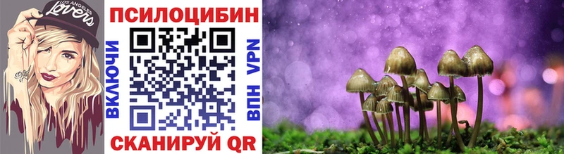 гидра маркетплейс  сколько стоит  Лукоянов  Псилоцибиновые грибы Psilocybe 
